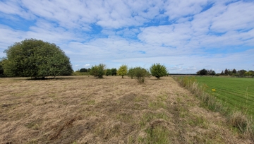 Grundstück kaufen Oberhavel